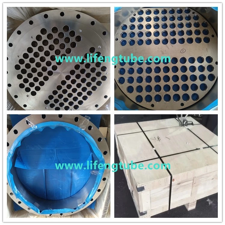 F316L Flange baffle tubesheet F316L Flange baffle tubesheet